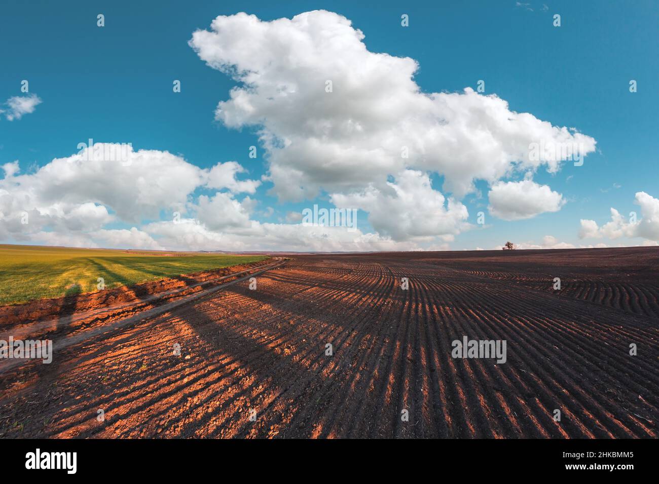 Agricultural land without plants on the background of the cloudy sky. Prepared land in spring Stock Photo
