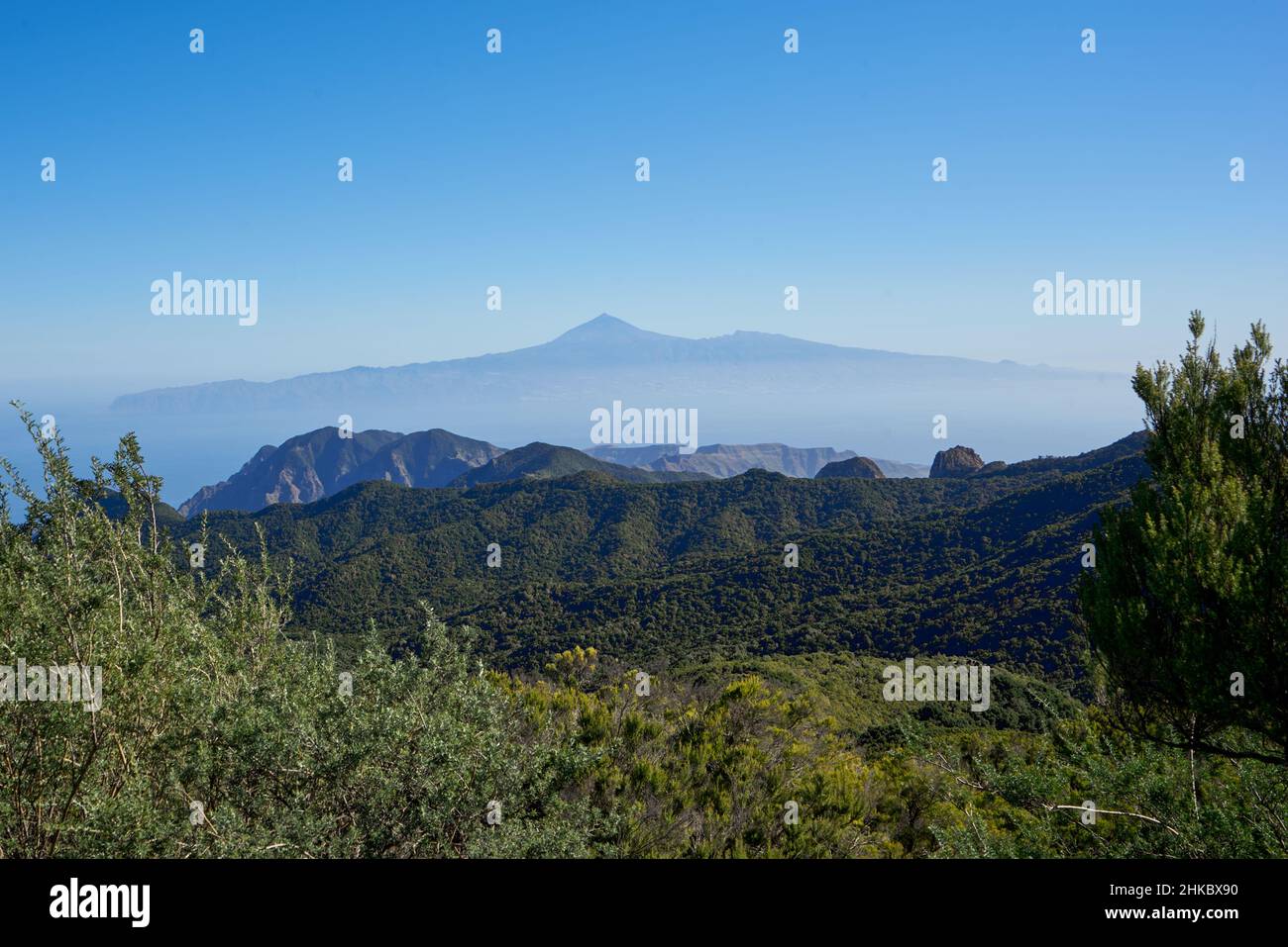 Aussicht vom Gipfel des Alto de Garajonay auf Teneriffa und den Teide, Nationalpark Garajonay, La Gomera, Kanarische Inseln, Spanien Stock Photo