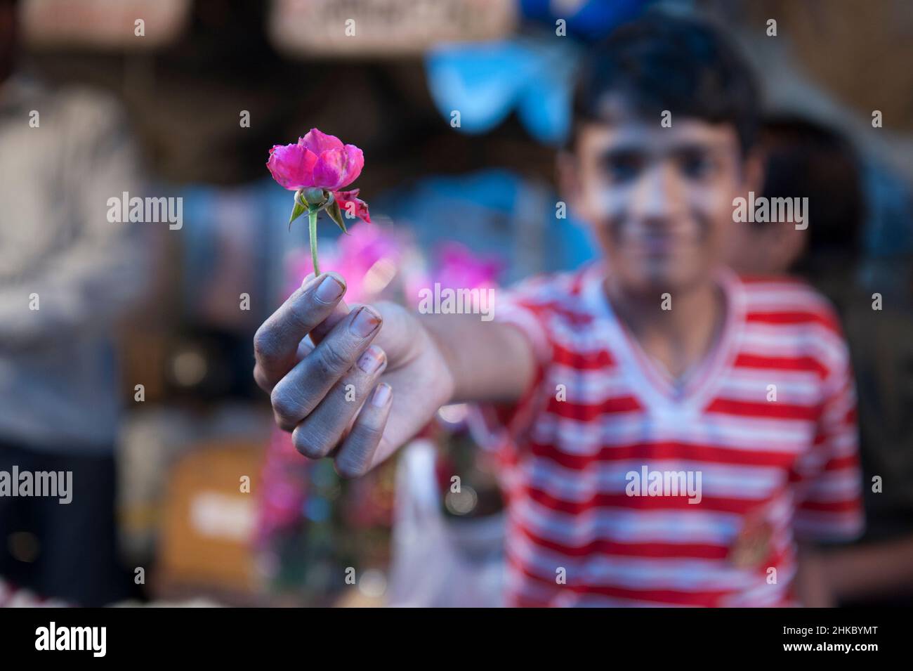 Boy offering rose in Jaipur market, India Stock Photo
