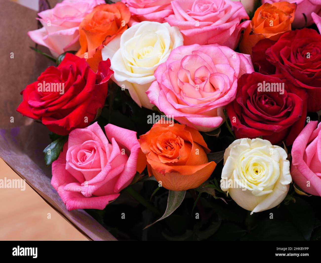 Multicolour rose hi-res stock photography and images - Alamy