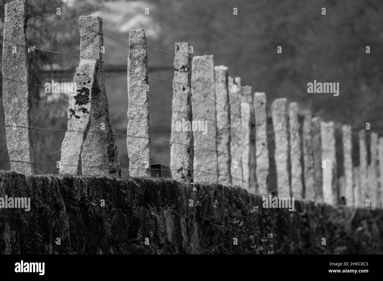 Concrete farm fencing hires stock photography and images Alamy