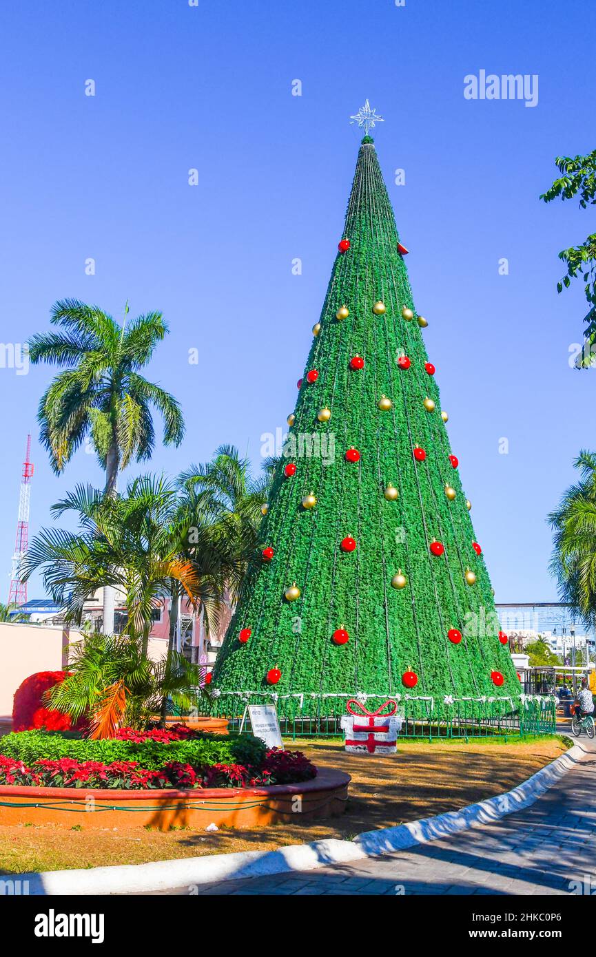 Famous giant Christmas tree, Paseo de Montejo, Merida Mexico Stock Photo