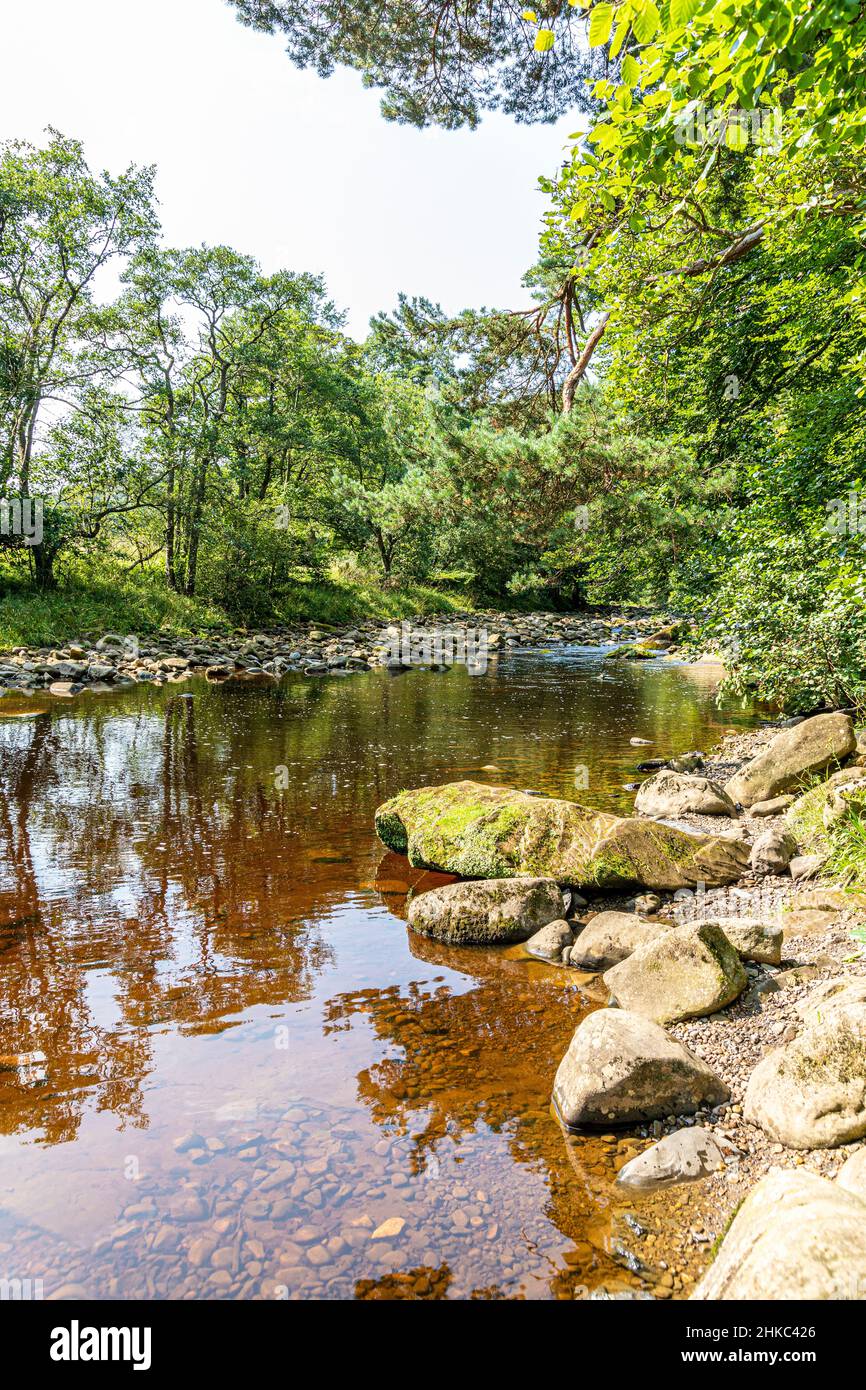 The peaty waters of the River Allen at Allen Banks near Beltingham, Northumberland UK Stock Photo