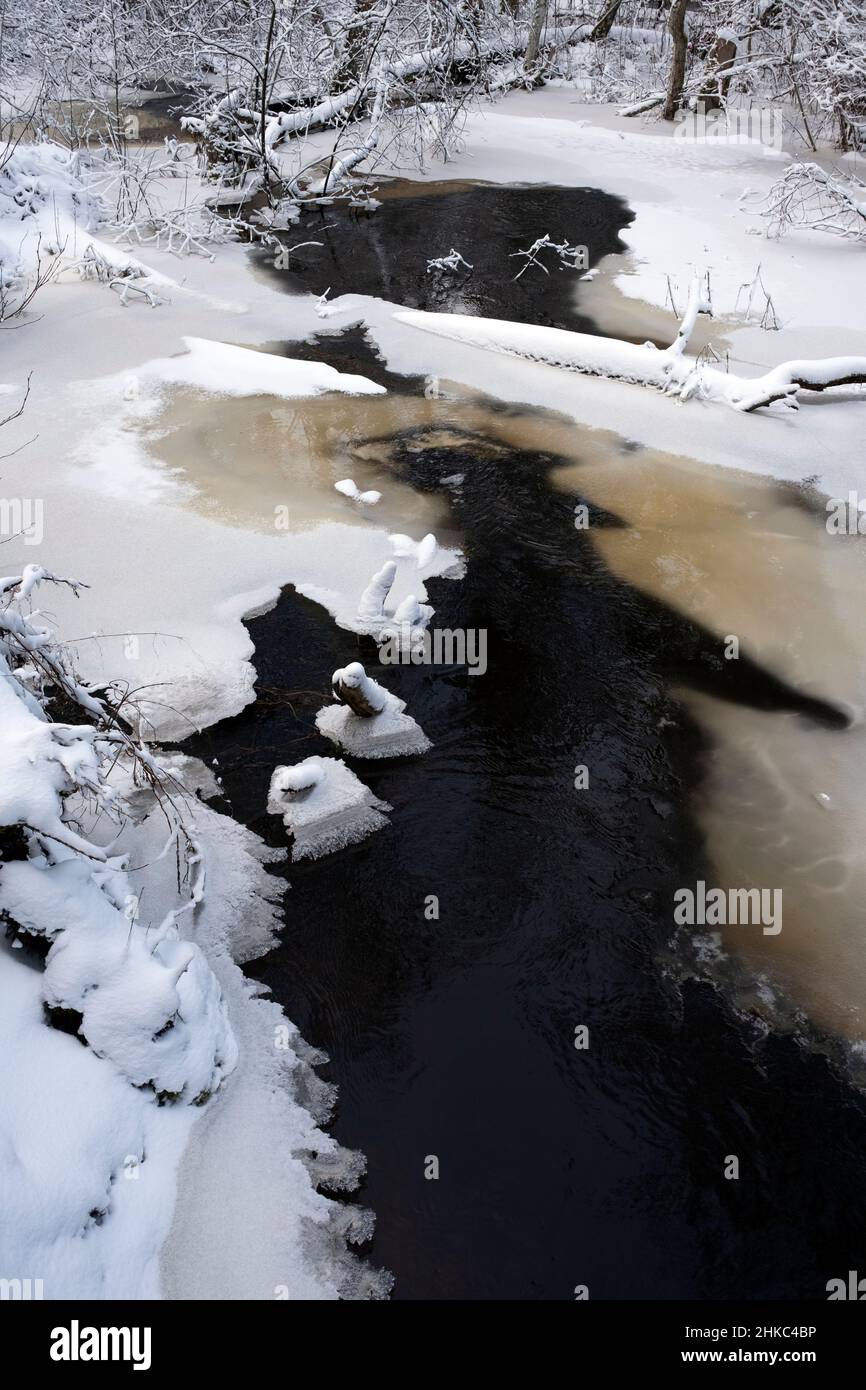 Lāčupīte river partly covered with ice in winter, Kurzeme, Latvia Stock Photo
