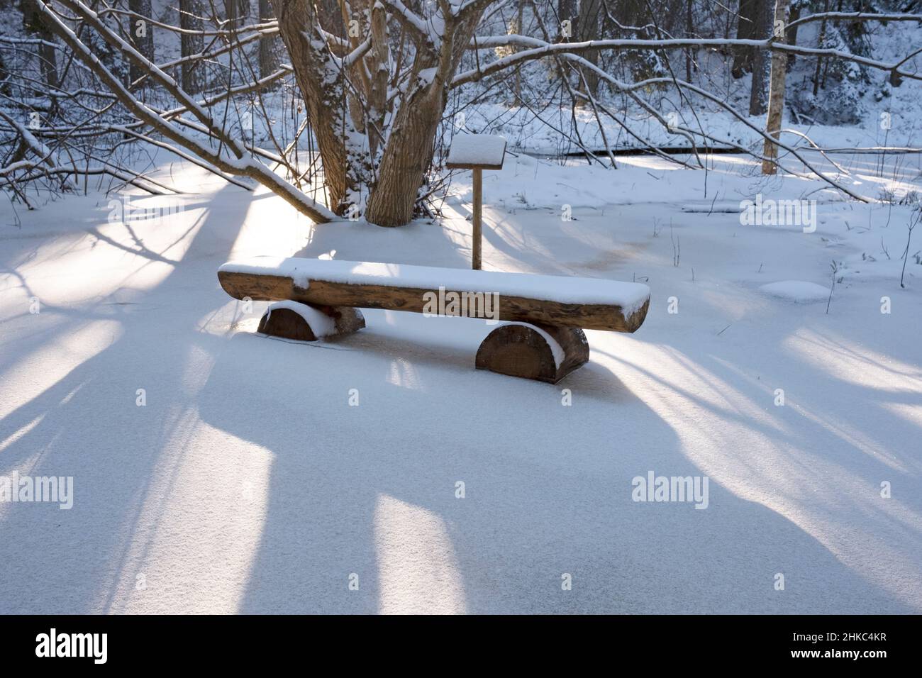 Snow covered bench at protected dendrology plantations “Dendrology plantations of Lāčupīte by Igors Mednis” in Engure parish, Tukums region, Kurzeme, Stock Photo