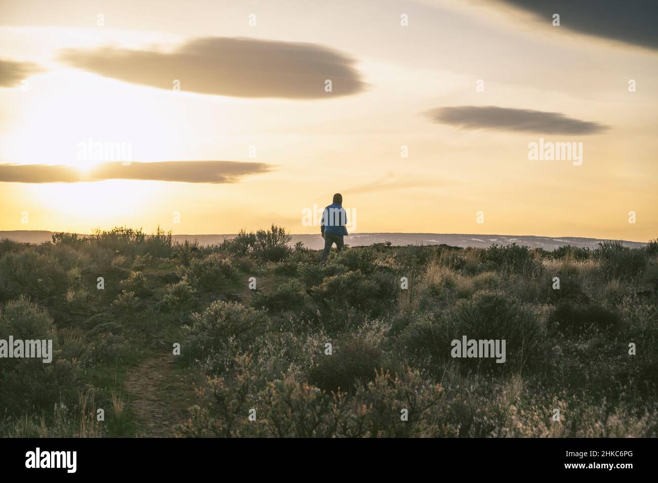 Male hiking through the sagebrush desert at sunset Stock Photo