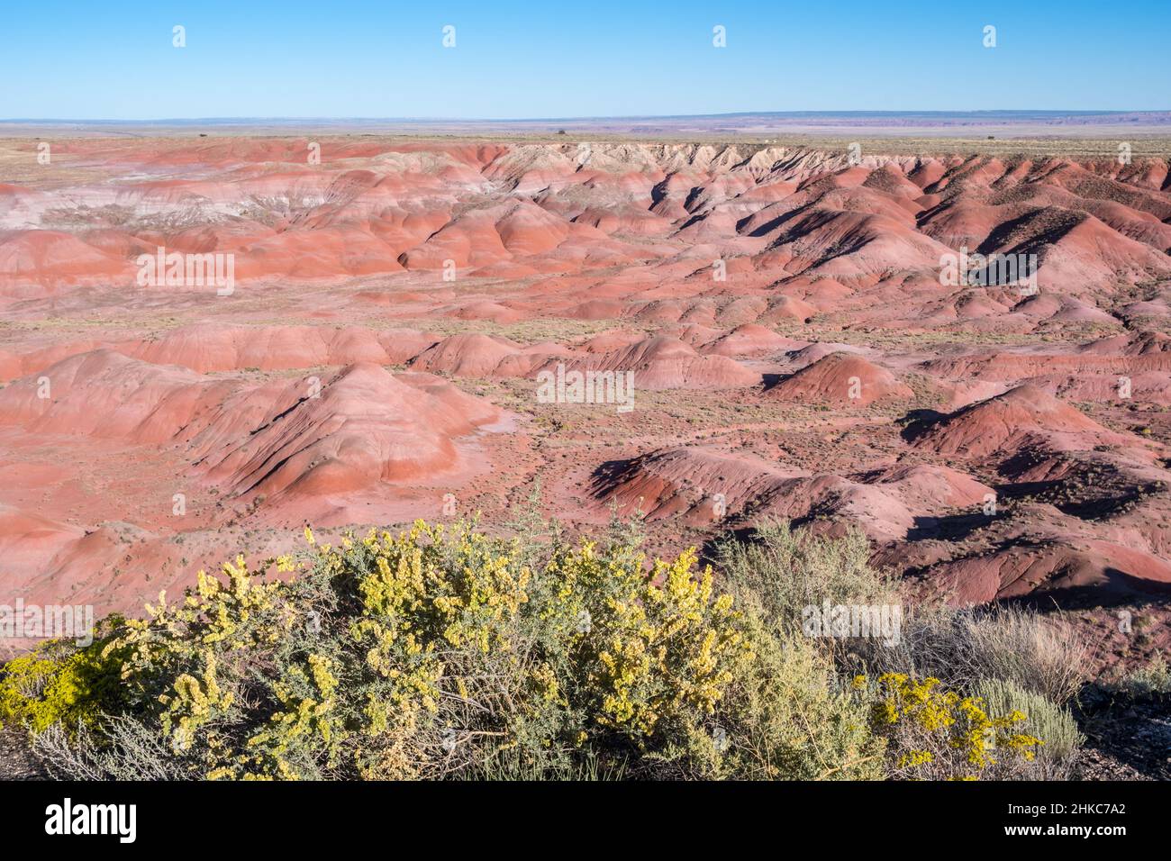 The Rim Trail in Petrified Forest National Park, Arizona Stock Photo