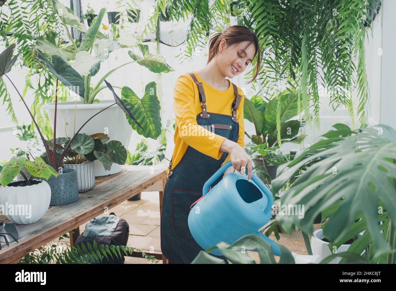 Female gardener small plants hi-res stock photography and images - Alamy