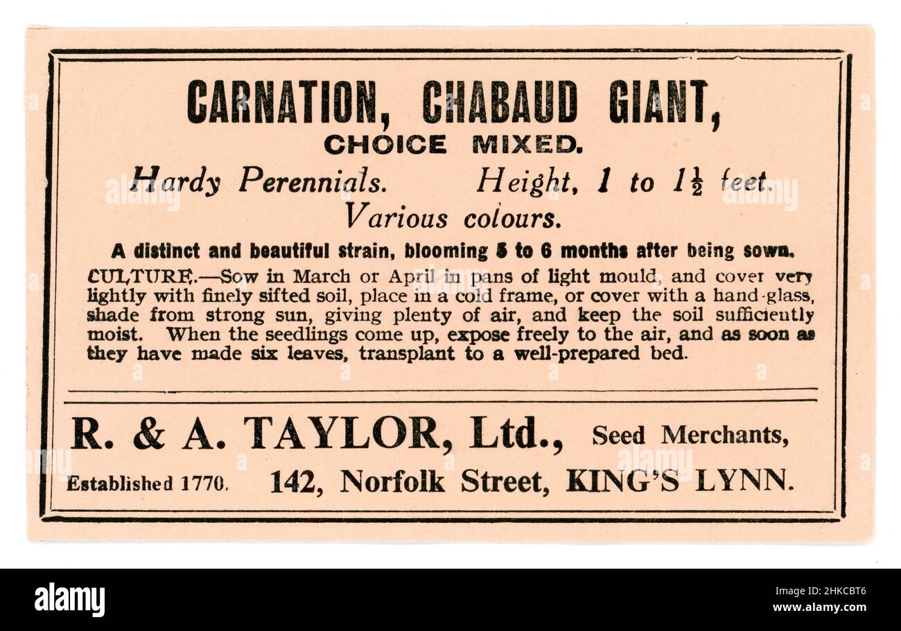 Original early 1900's seed packet containing seeds - Carnation, Chabaud Giant, choice mixed -seed merchants R & A Taylor of King's Lynn, Norfolk, circa 1930's Stock Photo