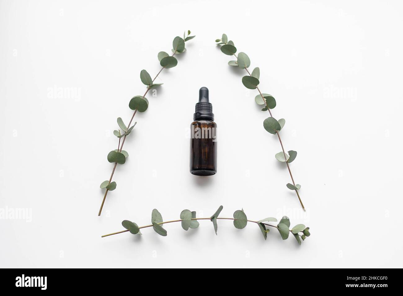 Mockup image of glass dropper bottle with eucalyptus essential oil and eucalyptus tree branch. Natural cosmetics, facial anti-aging oil. Top view. Stock Photo