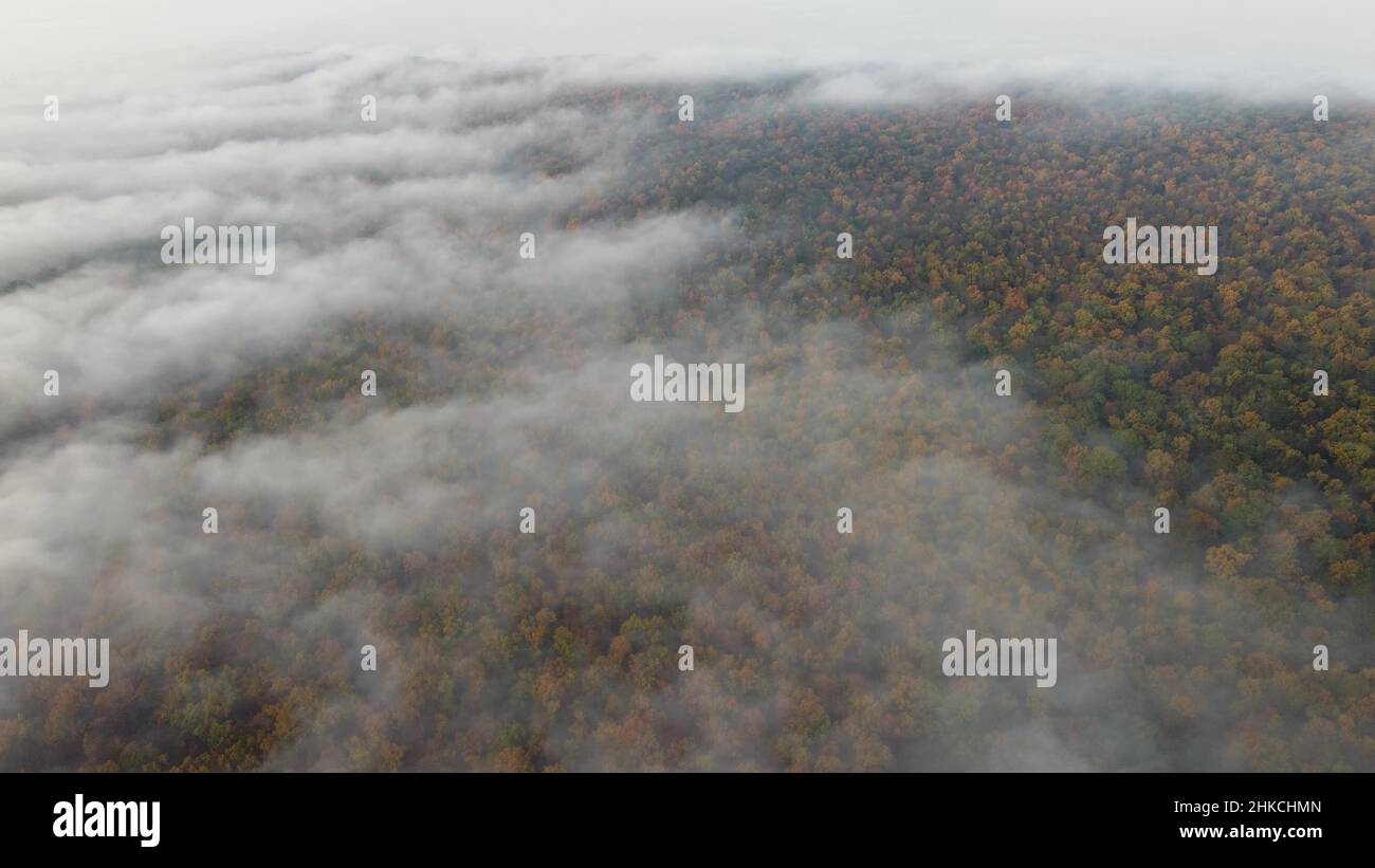 Aerial view beautiful dense hi-res stock photography and images - Alamy