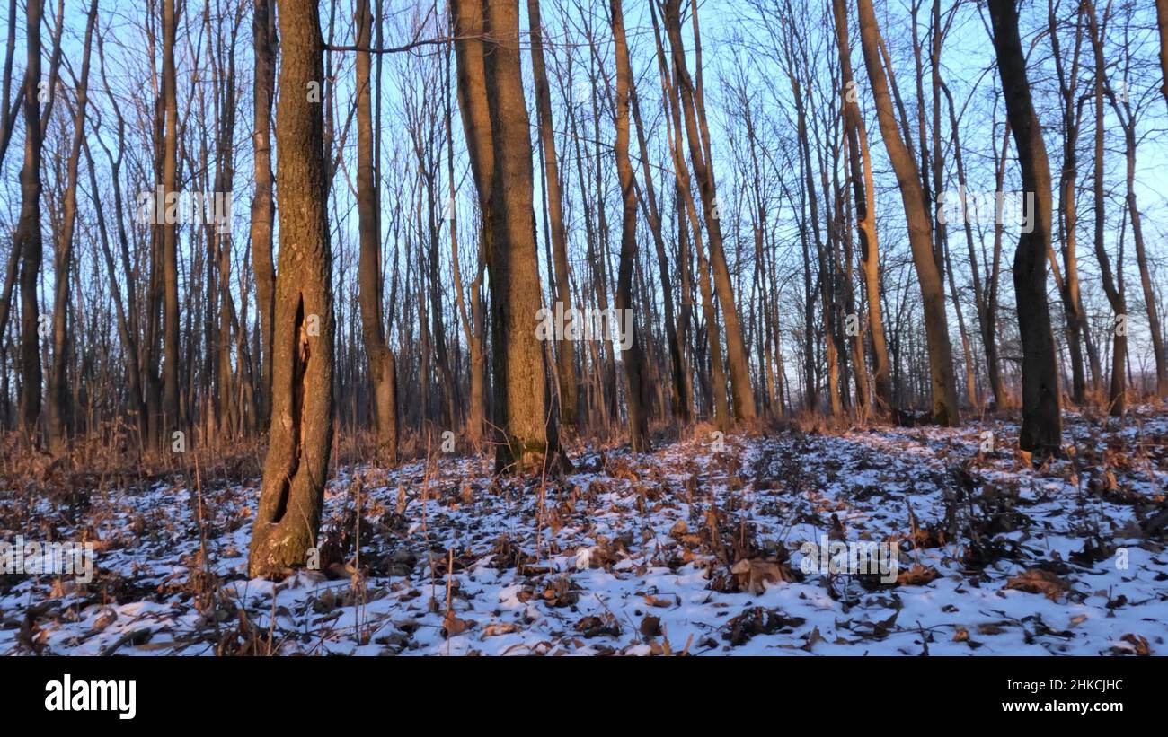Beautiful 4k timelapse sun rays hi-res stock photography and images - Alamy