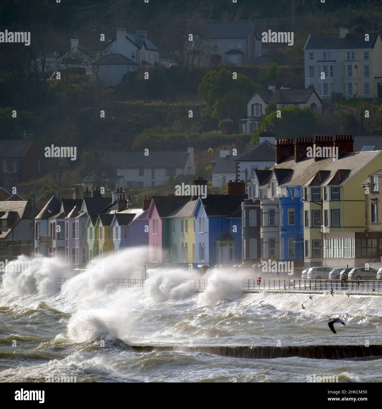Strong Easterlies, Whitehead, County Antrim, Northern Ireland. Stock Photo