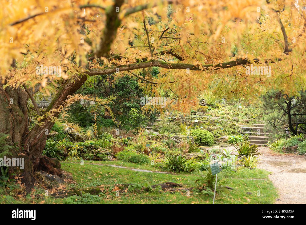 Alpine garden in Jardin des plantes. November 2021. Paris, France. Stock Photo