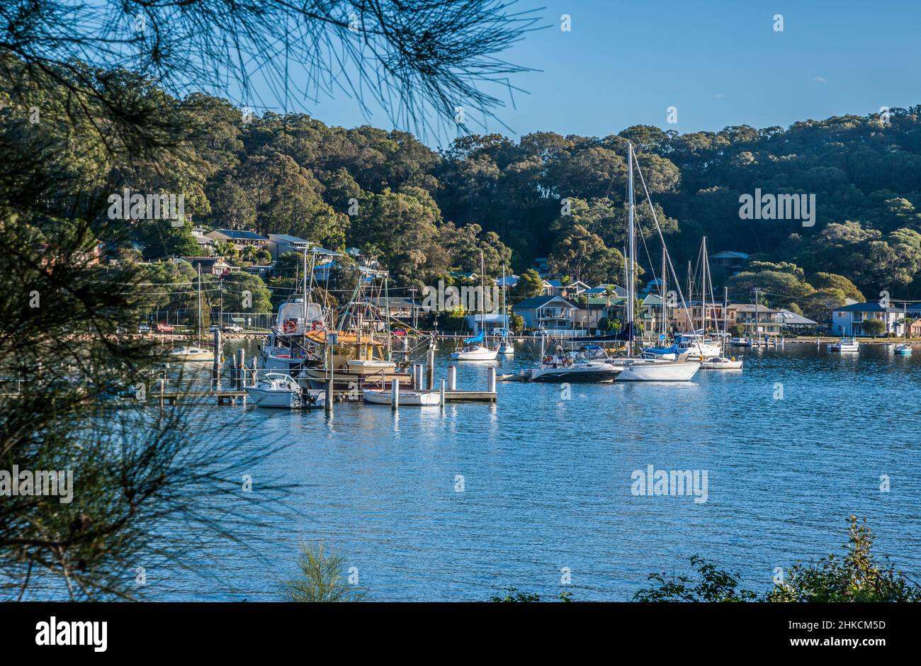 the shores of Brisbane Water at Pretty Beach, Central Coast, New South Wales, Australia, Stock Photo