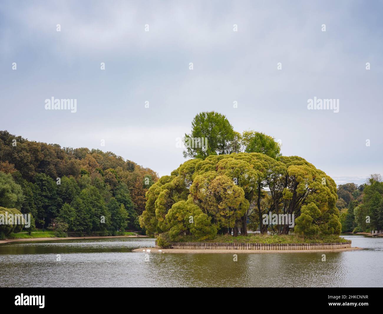 traditional forest of central Russia, summer sunset. Scenic forest with ...