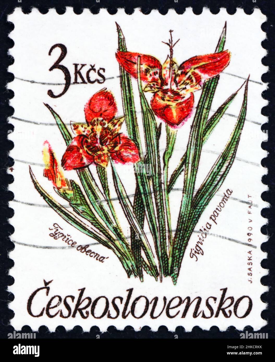CZECHOSLOVAKIA - CIRCA 1990: a stamp printed in Czechoslovakia shows tiger flower, tigridia pavonia, is an ornamental plant native to Central America, Stock Photo