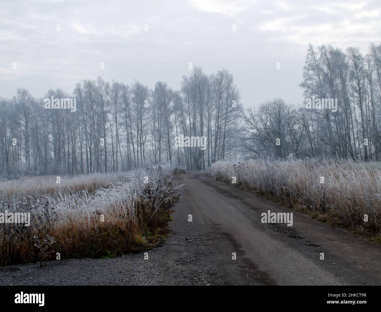 first frosts in central Russia, early morning Stock Photo