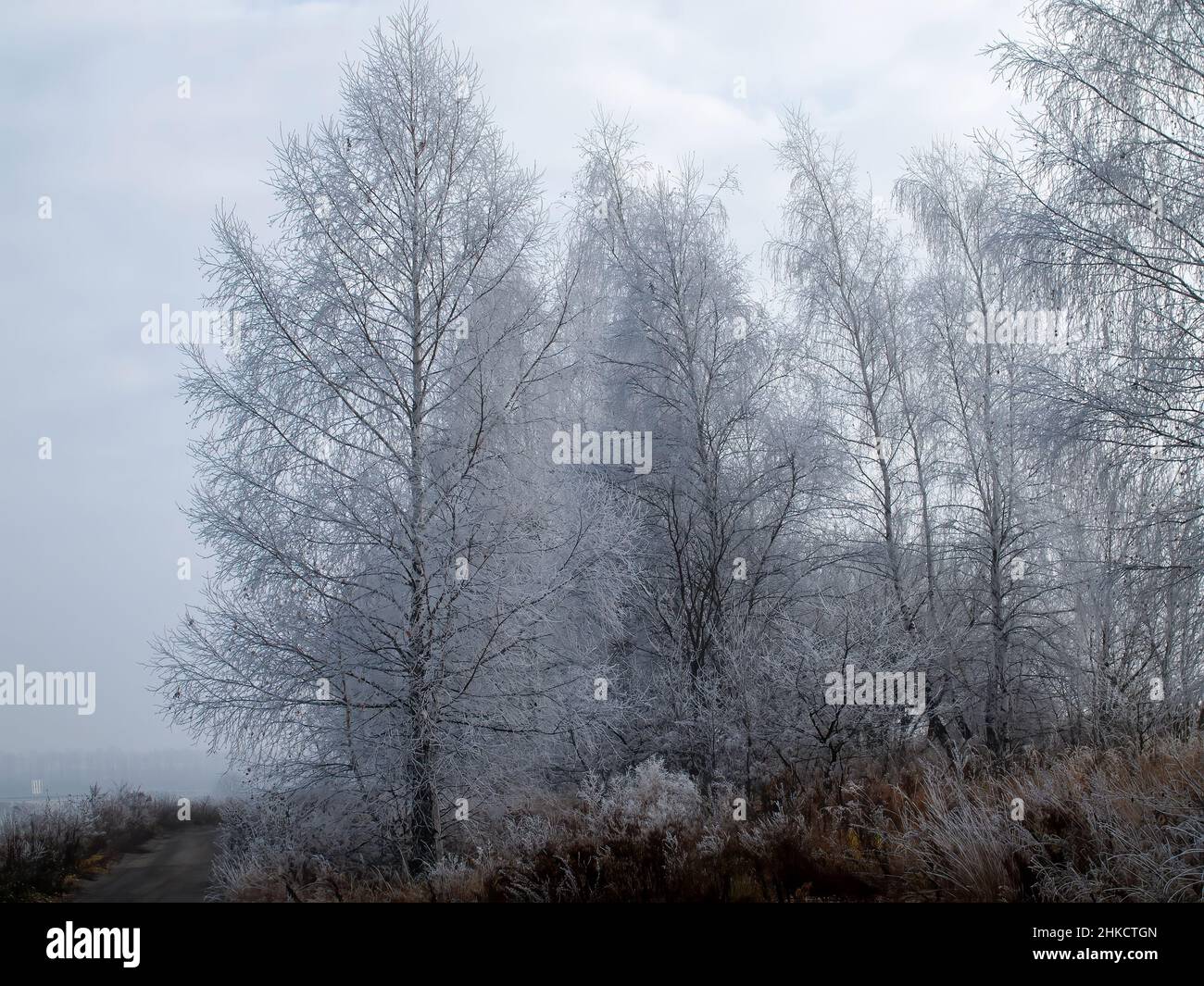 first frosts in central Russia, early morning Stock Photo