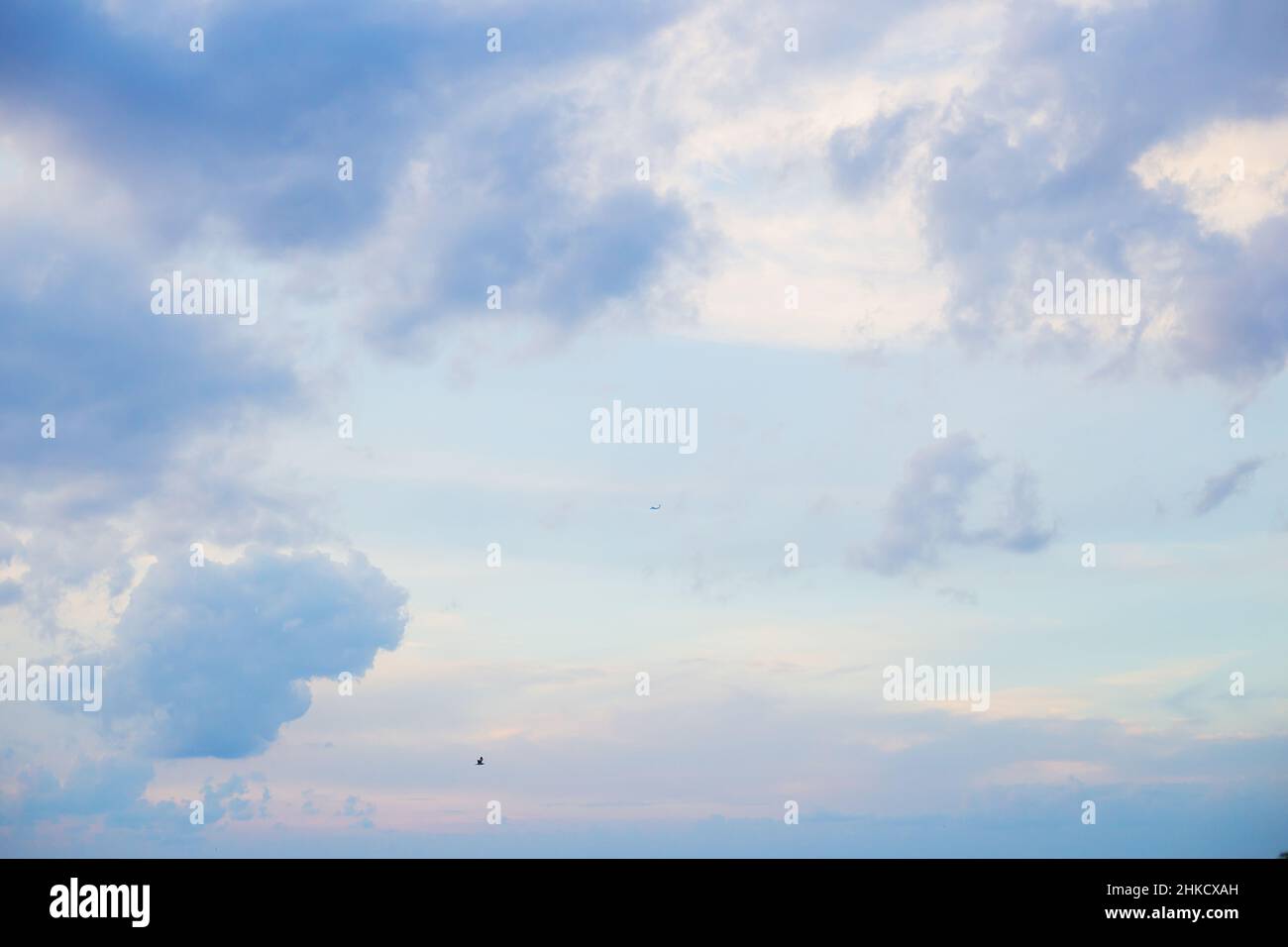 Beautiful blue sky on a sunny afternoon at the sea Stock Photo - Alamy