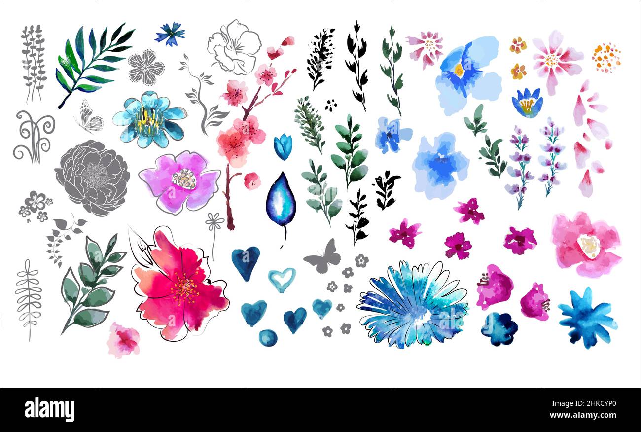A set of watercolor flower and floral elements. Vector illustration ...