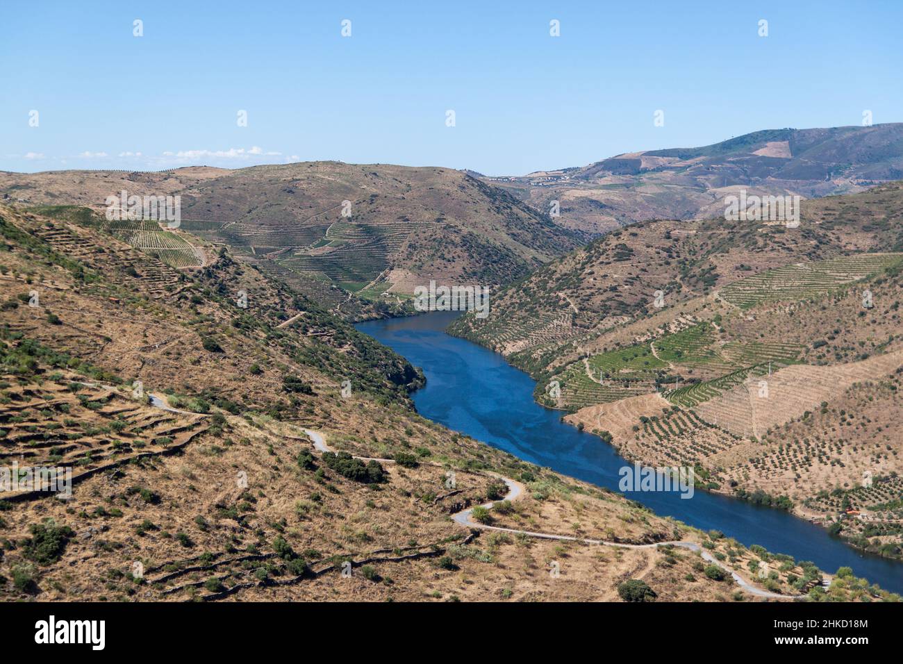 View of the Douro vineyards Stock Photo