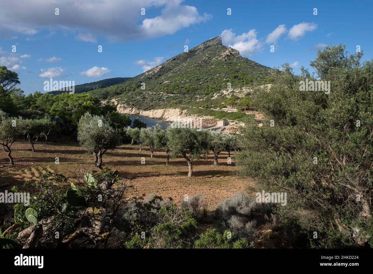 Na Miranda recreational area, Sa Dragonera natural park, Mallorca, Balearic Islands, Spain Stock Photo