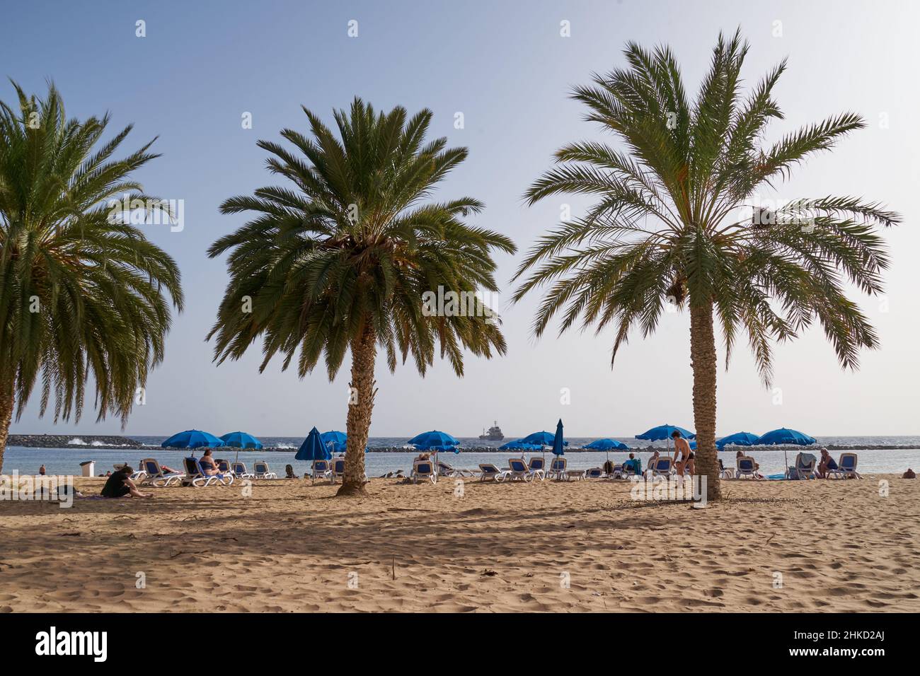 Palmen und Urlauber am Strand Playa de Las Teresitas, Nord-Teneriffa, Teneriffa, Kanarische Inseln, Spanien Stock Photo