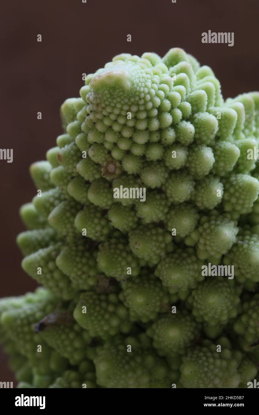 Romanesco Cauliflower florets Stock Photo Alamy