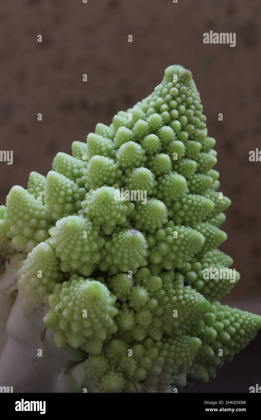 Romanesco Cauliflower florets Stock Photo Alamy