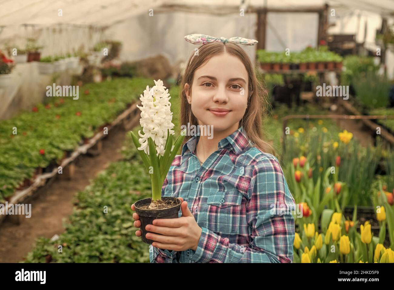 happy teen girl florist care pot plants in greenhouse, gardener Stock ...