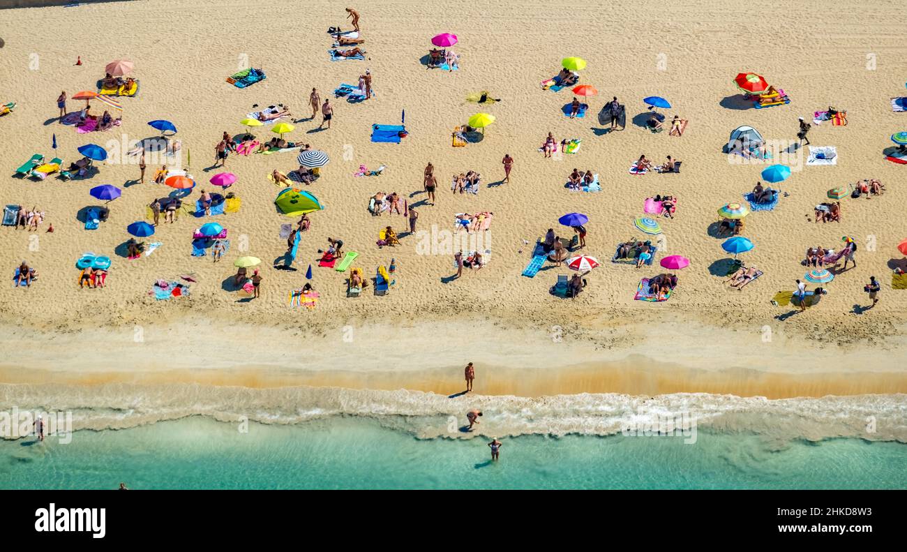 Aerial view, beach life and sunbathing with umbrellas, Las Maravillas, Palma, Majorca, Balearic Islands, Spain, bathers, ES, reception building, Europ Stock Photo