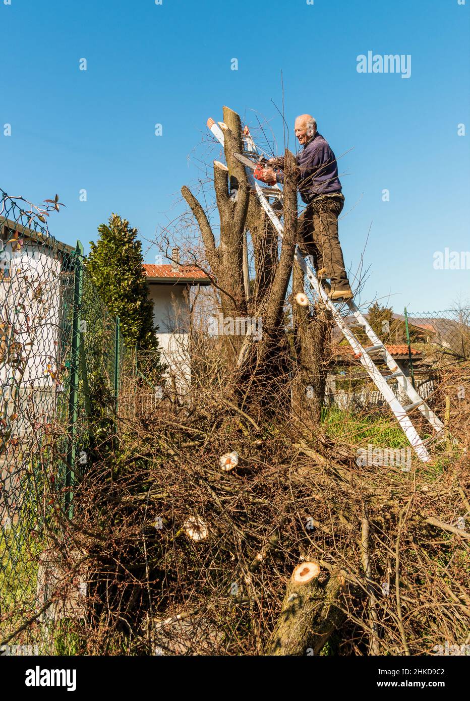 Stepladder garden hi-res stock photography and images - Alamy