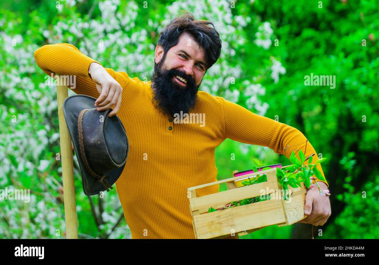 Professional gardener works in garden. Bearded man with shovel and box. Spring work. Farmer planting plants. Stock Photo