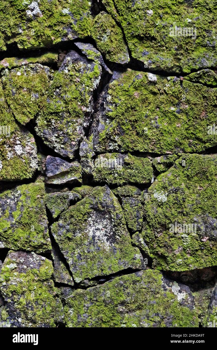 Stone wall with moss background Stock Photo