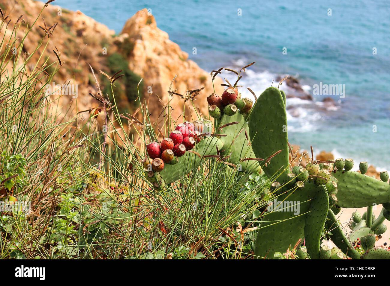 The beautiful coves of Sant Pol de Mar the smallest and most ...