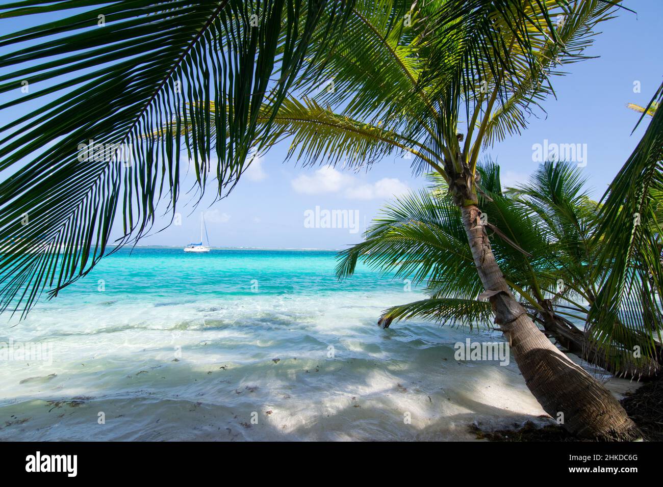 Untouched palm beach at Chichime island (San Blas) Stock Photo