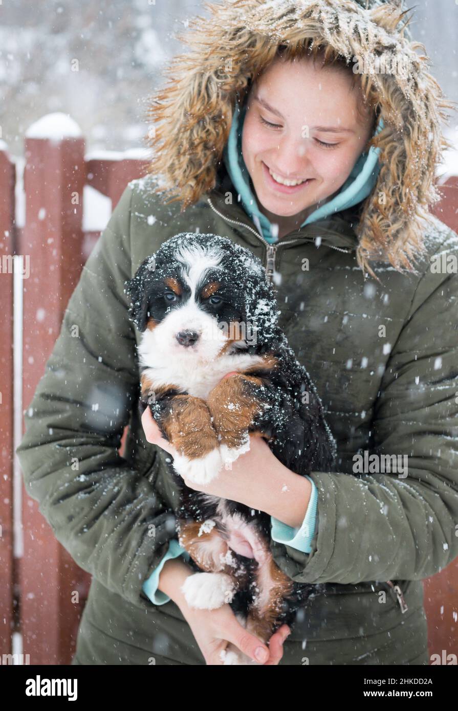 Girl holding Tri colored Mini Bernedoodle Puppy in her arms in the snow in front of a board fence Stock Photo