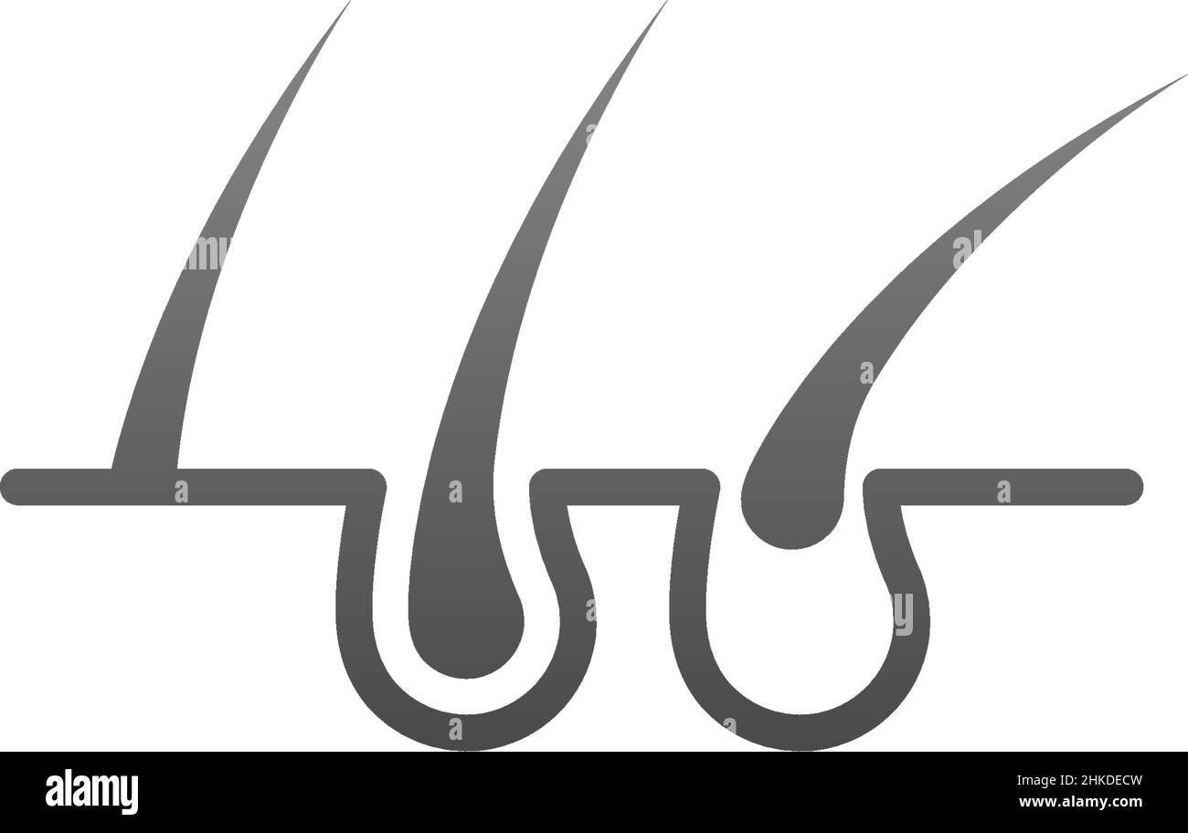 Hair follicle illustration logo icon desain template vector Stock Vector