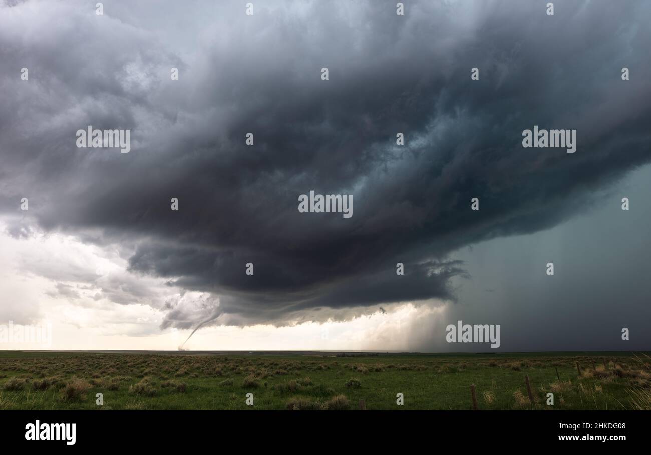 Tornado and supercell thunderstorm cloud over a field in the plains near Akron, Colorado, USA Stock Photo