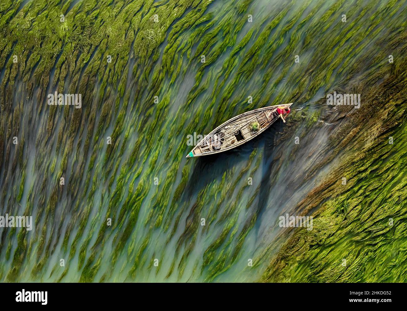 Aerial view of boat making its way through algae, Bogra, Bangladesh Stock Photo
