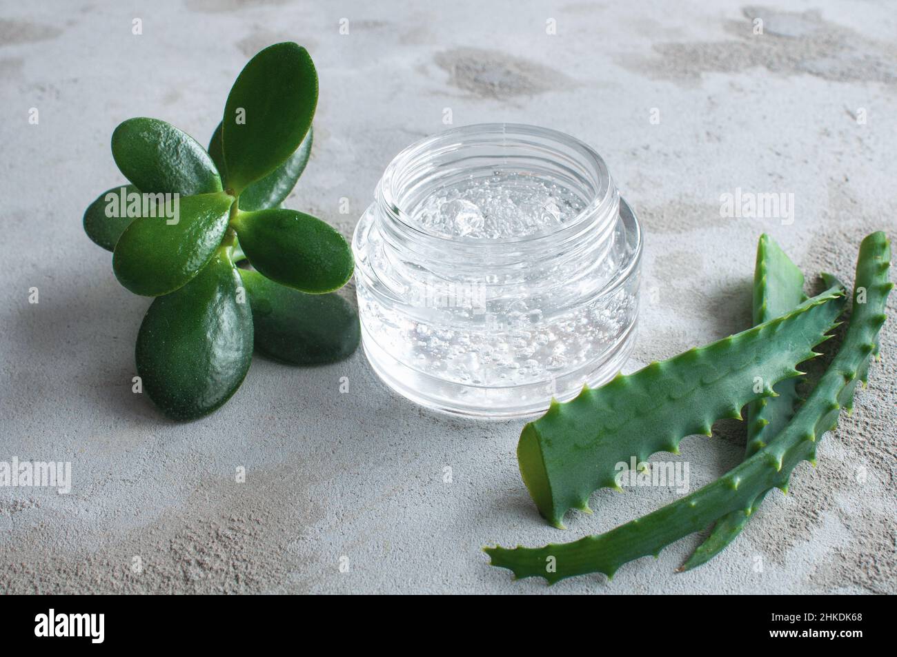 Gel texture with bubbles hyaluronic acid and aloe vera branches in a glass jar on a concrete background Stock Photo