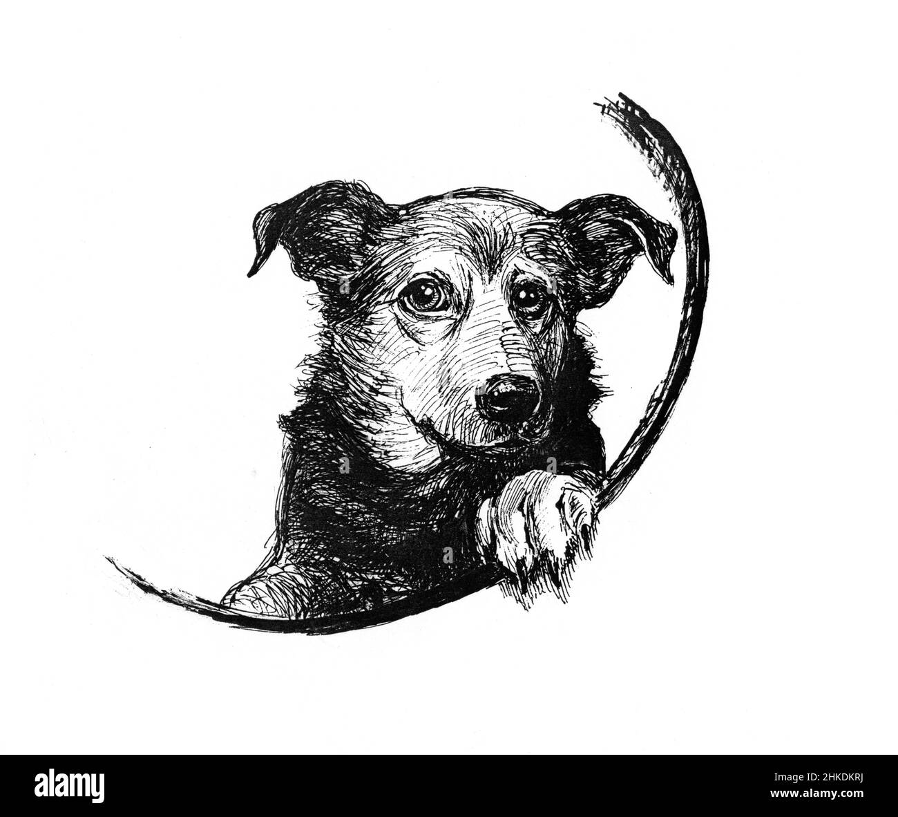 Black ink drawing dog hi-res stock photography and images - Alamy