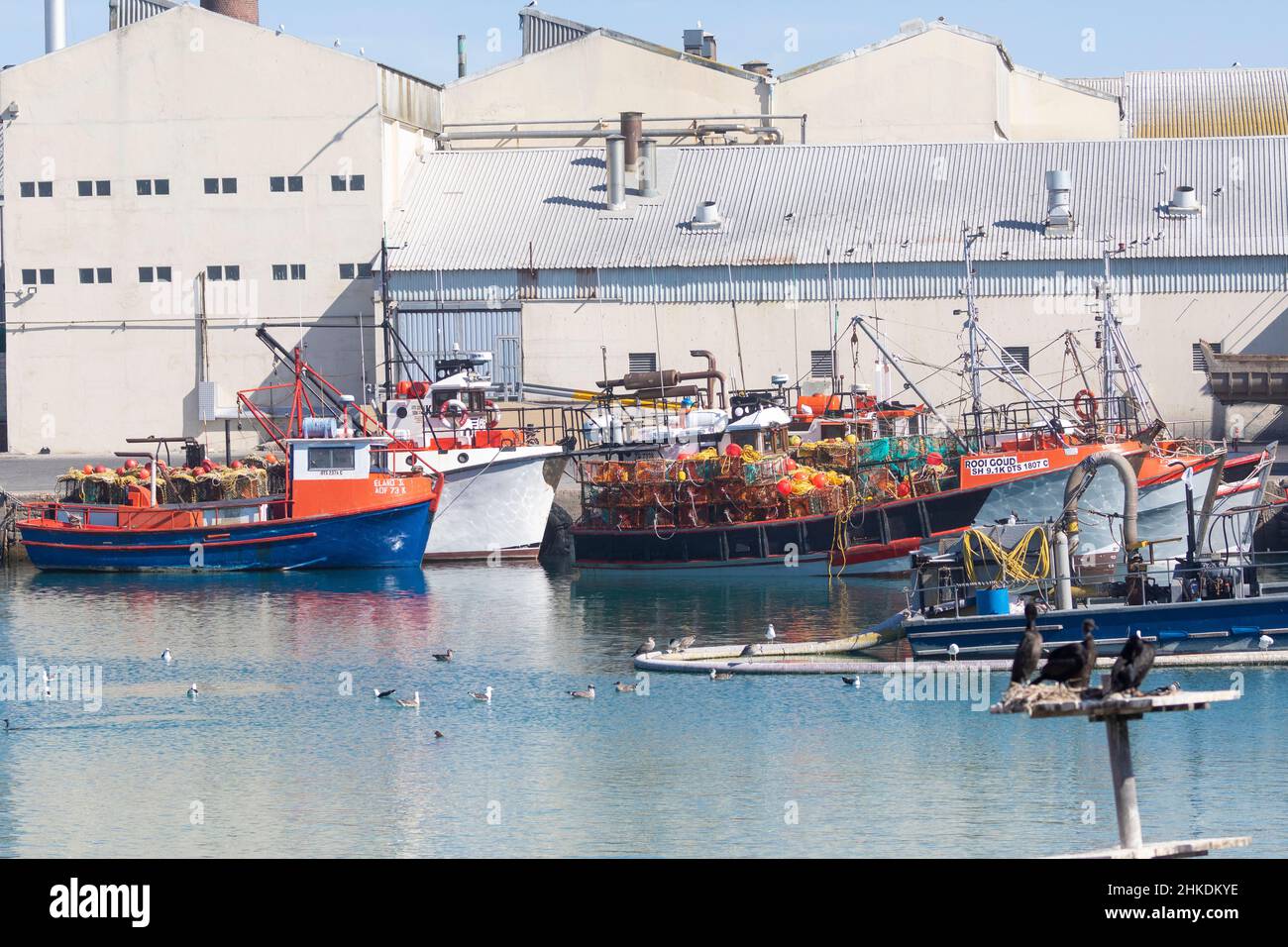 Colorful fishing vessels in the harbour at Lamberts Bay, West Coast, Western Cape, South Africa Stock Photo