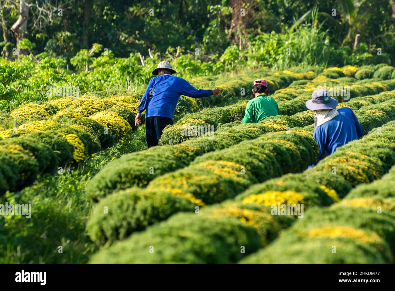 Tet 2022 hi-res stock photography and images - Alamy