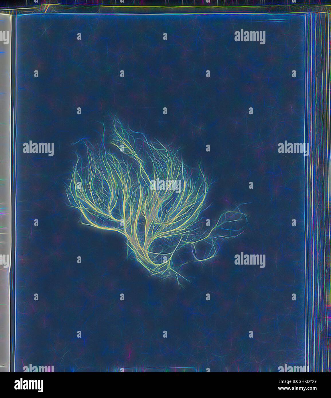 Inspired by Myrionema strangulans, parasitic, Anna Atkins, United Kingdom, c. 1843 - c. 1853, cyanotype, height 250 mm × width 200 mm, Reimagined by Artotop. Classic art reinvented with a modern twist. Design of warm cheerful glowing of brightness and light ray radiance. Photography inspired by surrealism and futurism, embracing dynamic energy of modern technology, movement, speed and revolutionize culture Stock Photo