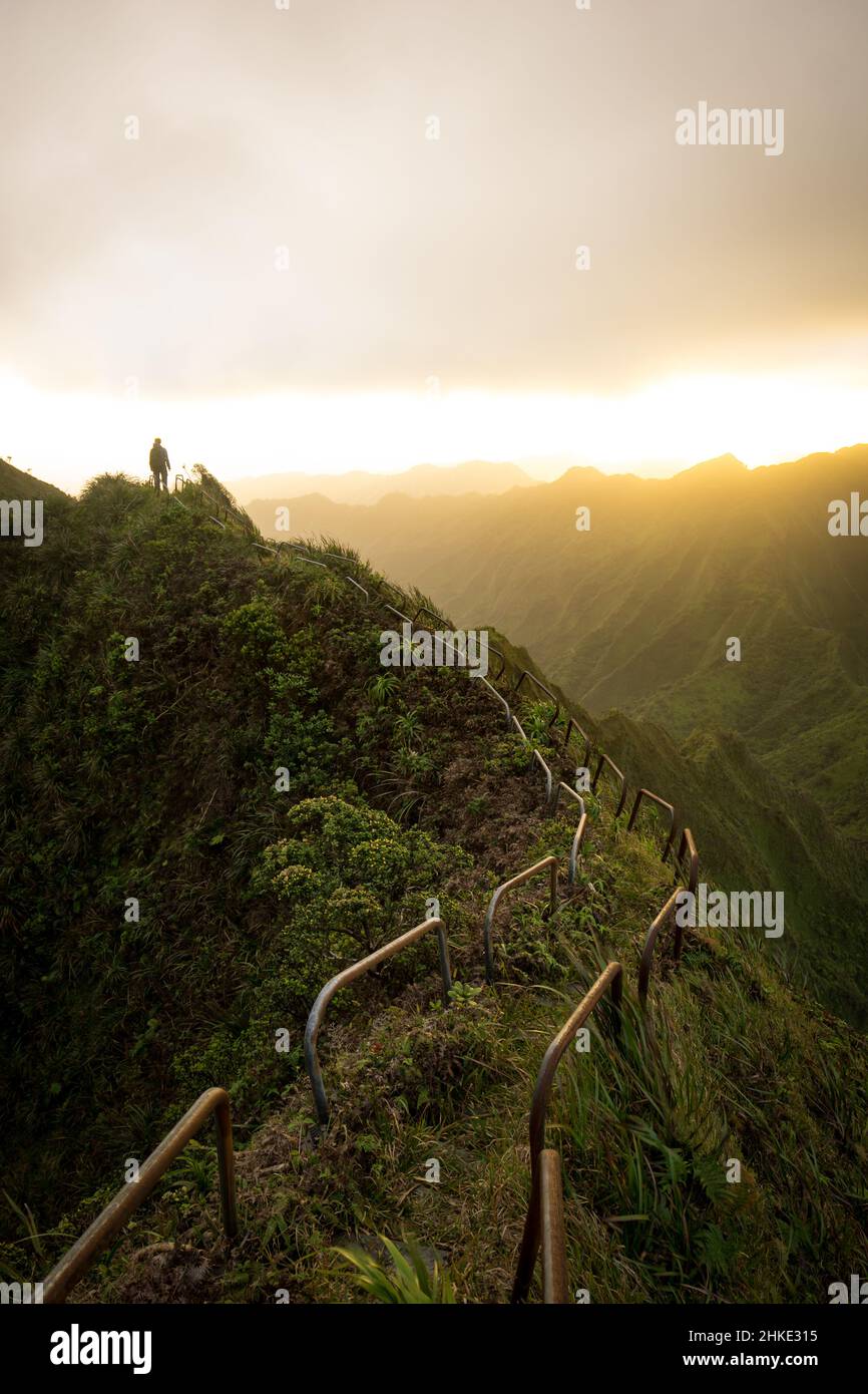Oahu island stairway to heaven hi-res stock photography and images - Alamy