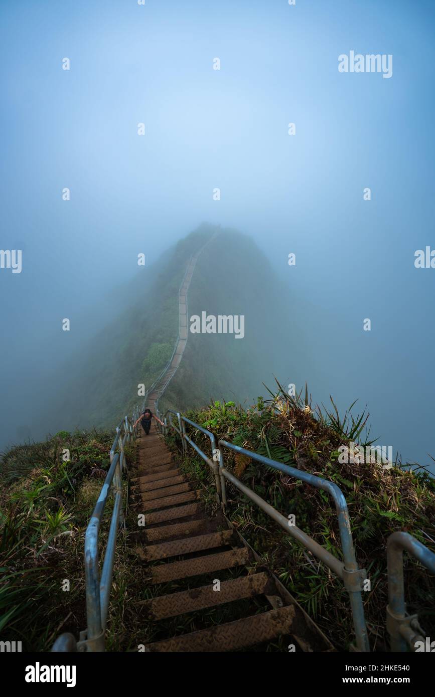Stairway to heaven oahu hawaii hi-res stock photography and images - Alamy