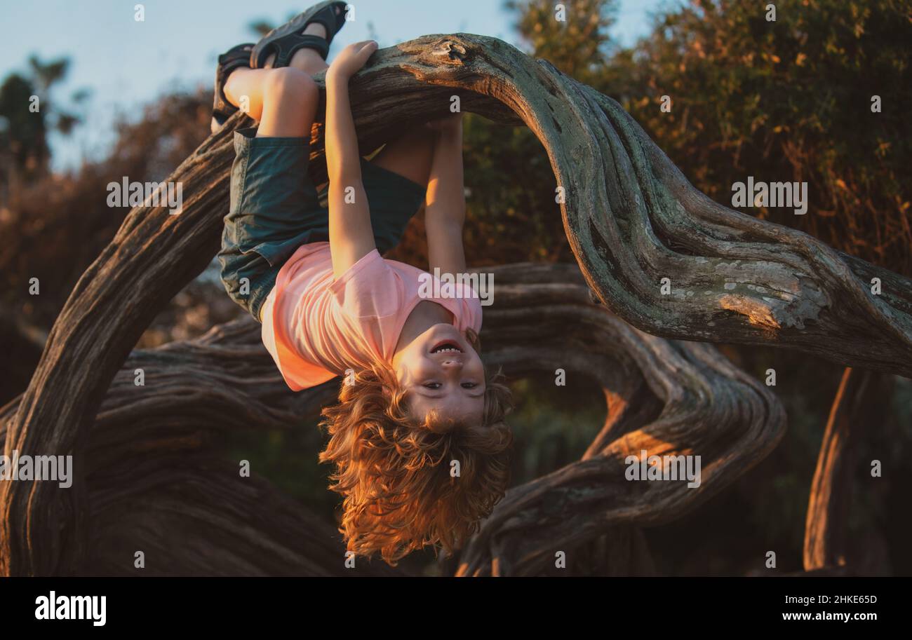 Child climbing tree. Cute kid climbing the tree in the park, happy childhood concept. Stock Photo