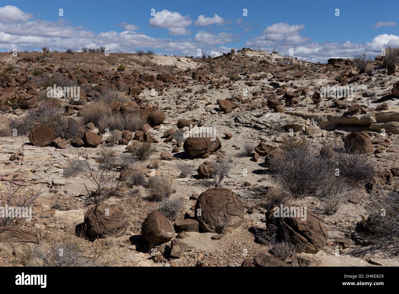 Concretions weathered out of Cretaceous deposits litter the ground. Stock Photo